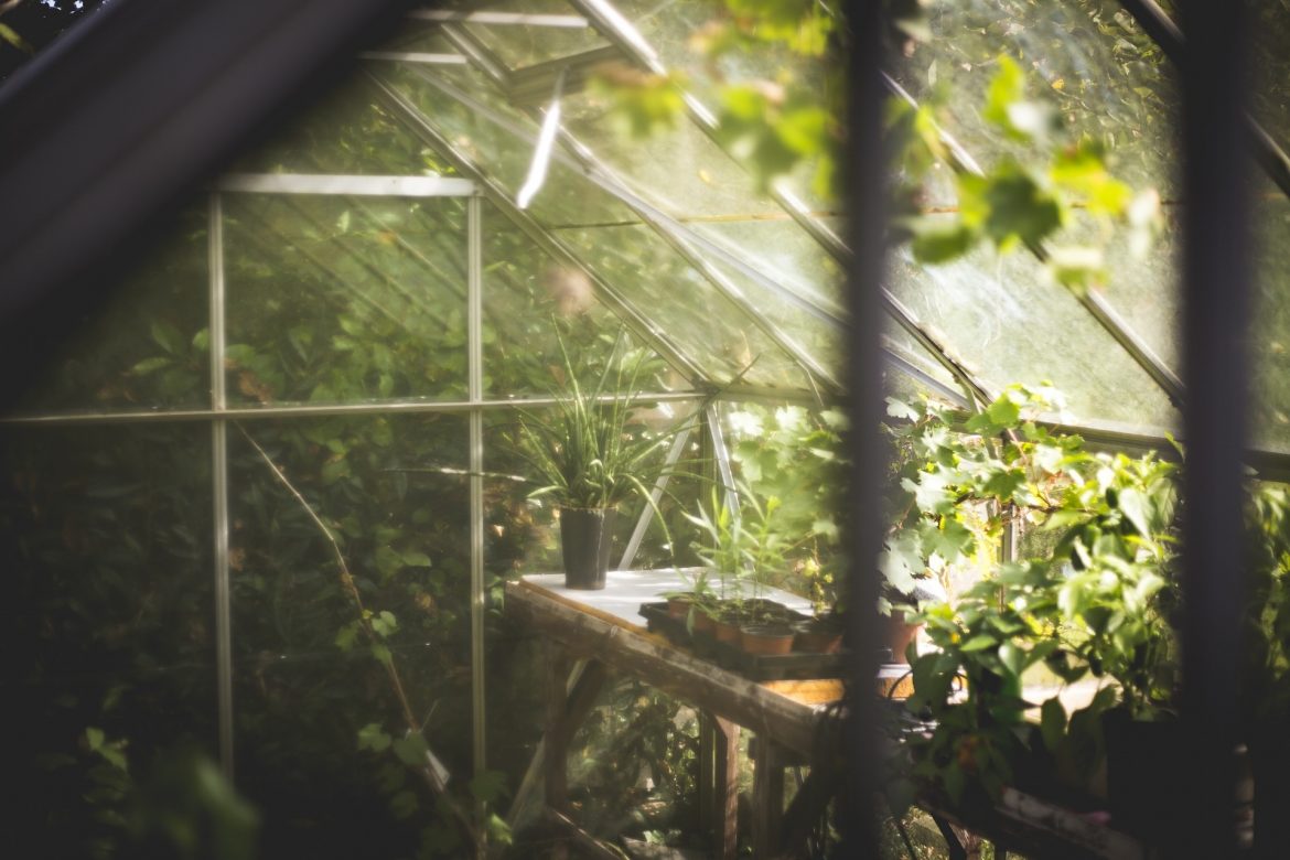 Le jardin simple : comment démarrer votre propre jardin